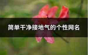 简单干净接地气的网名