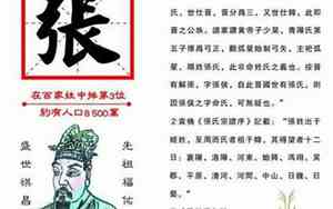 姓张的是不是有好名字