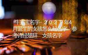 牛宝宝名字怎么起名字