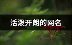开朗网名