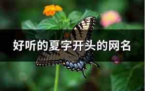季字开头的网名